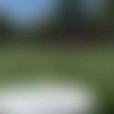 Advanced Ultimate Frisbee Throws: Expanding Your Arsenal for Better Offensive Tactics