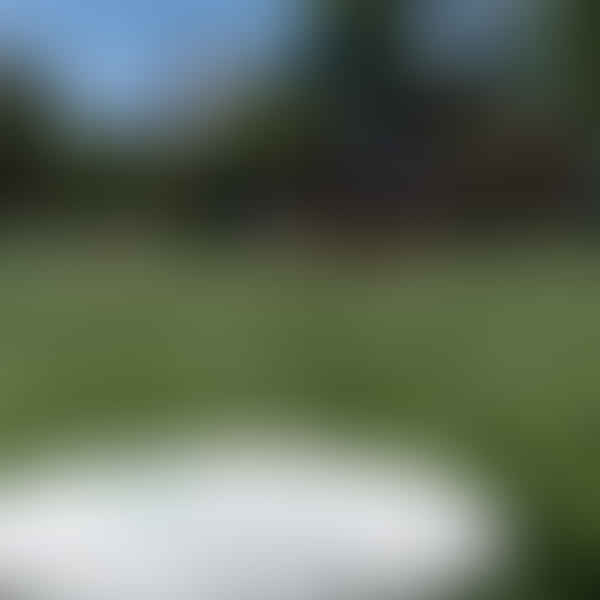 Advanced Ultimate Frisbee Throws: Expanding Your Arsenal for Better Offensive Tactics