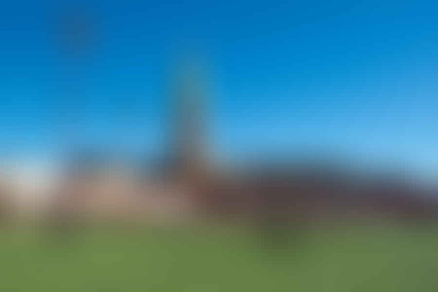 Ultimate Frisbee field