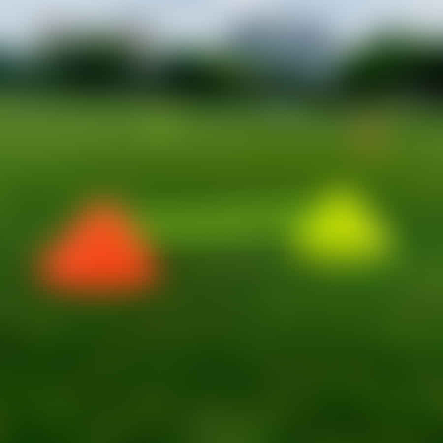 Frisbees and cones