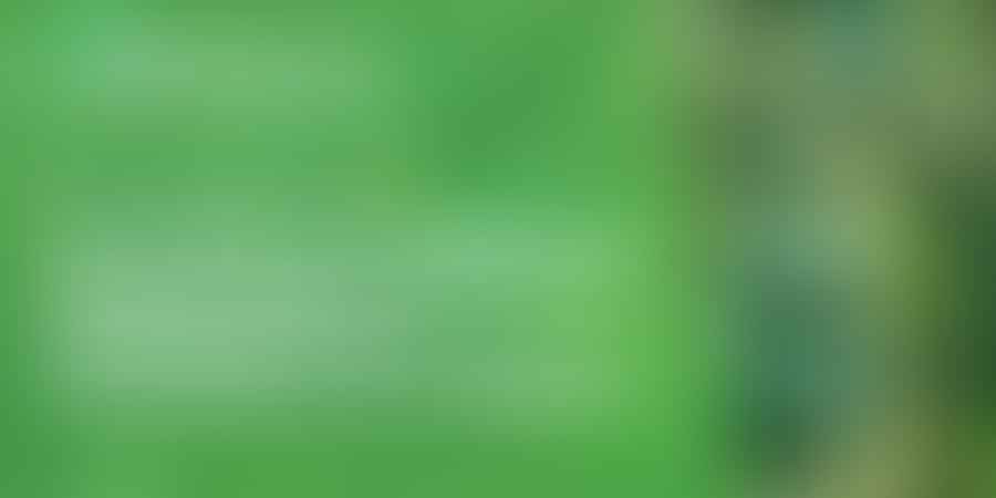 Unveiling the Ultimate Frisbee Score: Decoding Goal Values - Crack the Code 💡