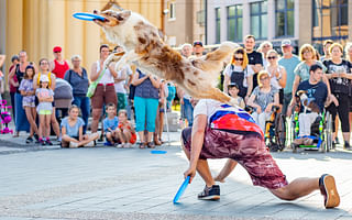 What essential skills should an Ultimate Frisbee handler possess?
